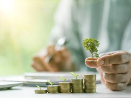 DuPage County, IL gray divorce lawyer